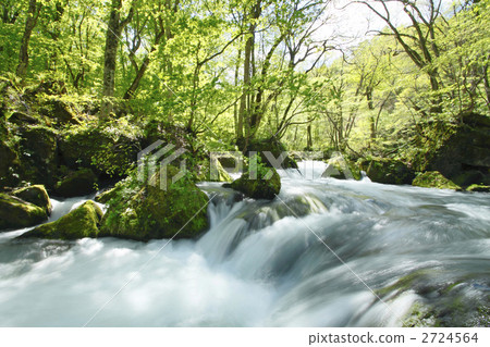 新鮮的綠色Oirase小河 2724564