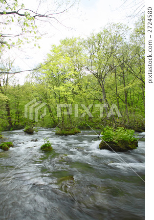 新鮮的綠色Oirase小河 新鮮的綠色Oirase小河 2724580