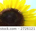 向日葵和蜜蜂 2726121