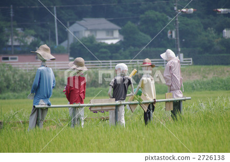 稻草人 有名無實的領袖 關東 2726138