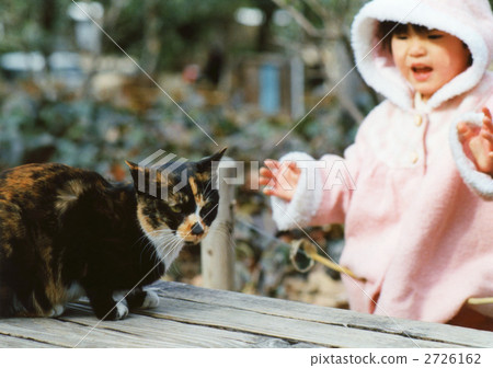 Cats and girls Cats and girls 2726162