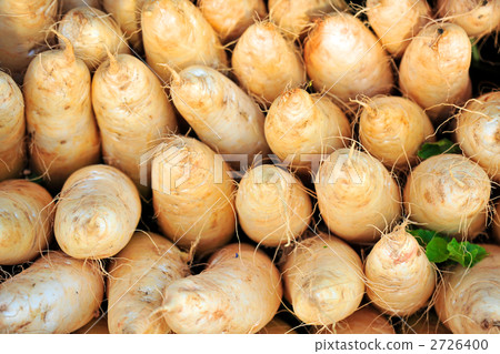 Okinawa's Red Clay Daikon 2726400