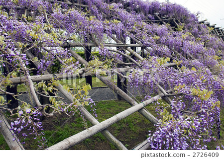 Toba no Fuji noda fuji 2726409