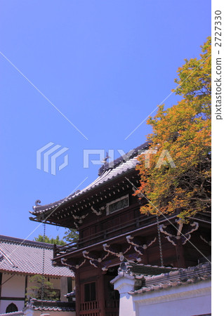tamba city, spring, blue sky 2727330