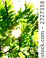 light  2727358