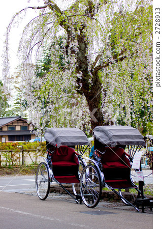 jinrikisha, rickshaw, weeping cherry 2728913