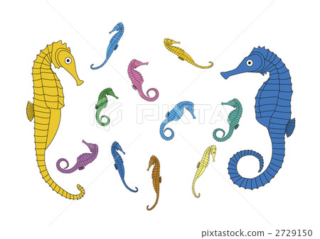 Seahorse family line available Seahorse family line available 2729150