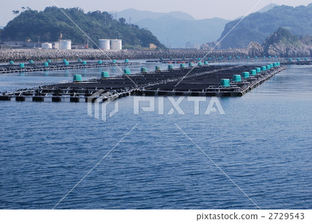Hojima島提高木筏 Hojima島提高木筏 2729543