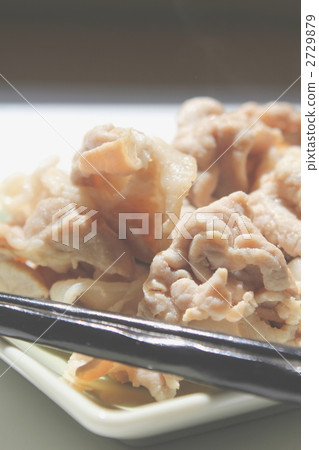 烤豬肉薑 2729879