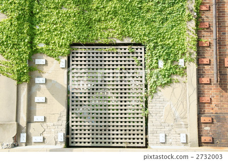 wall, walls, moji 2732003