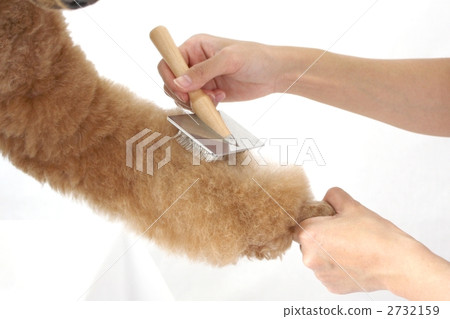brushing, trimmer, groomer 2732159
