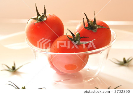 mini tomato, miniature tomato, tiny 2732890
