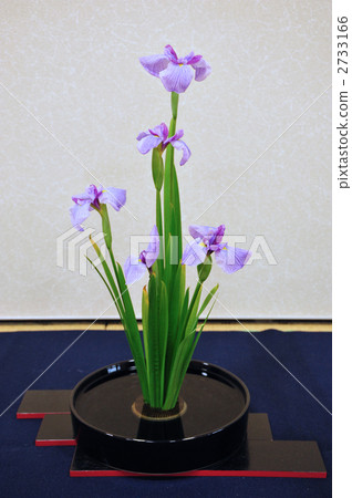 Ikebana Irises Ikebana Irises 2733166