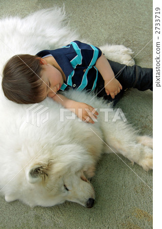 Dog and boy 2733719