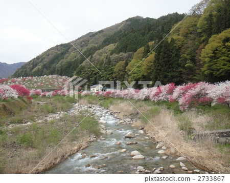 Hanamo no Sato 2733867