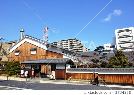 Chrysanthemum Shoson Brewery Memorial 2734558