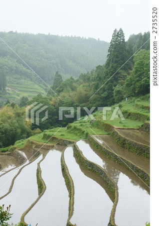 rural districts, paddy, farm 2735520