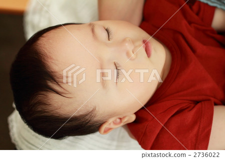Snooze 2736022