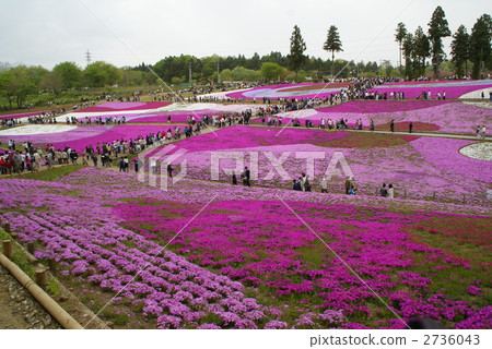 四山公園 2736043