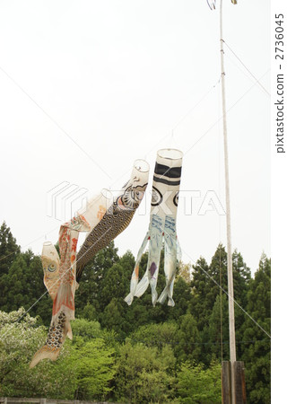 carp streamer 2736045