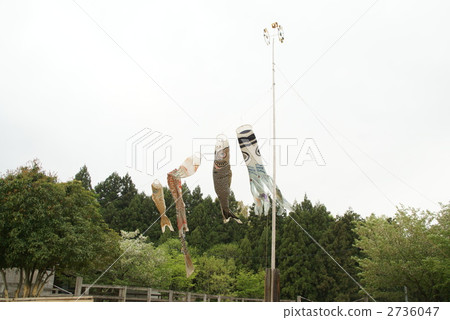 carp streamer 2736047