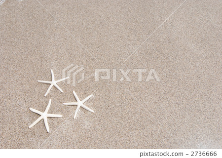 在沙灘的白色海星 2736666