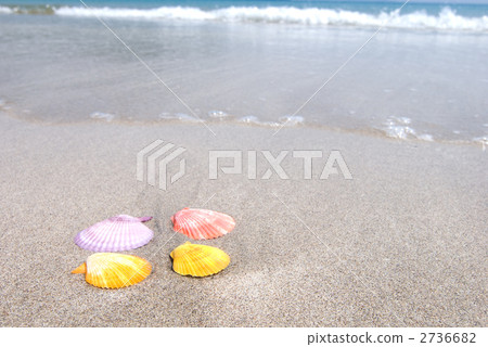 在沙灘的果膠noiris 2736682