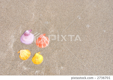 在沙灘的果膠noiris 在沙灘的果膠noiris 2736701