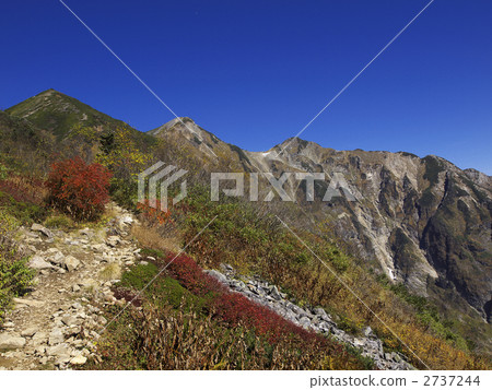 Kashima Iwakedake Kashima Iwakedake 2737244