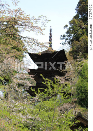 國寶泰壽寺三塔（青木村） 2737462