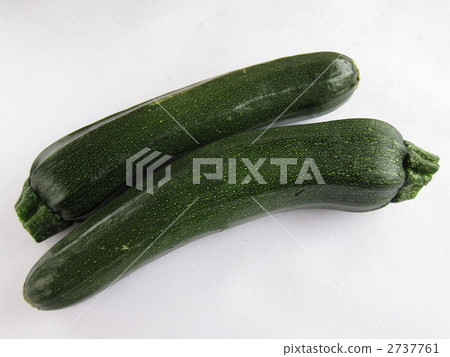 zucchini  2737761