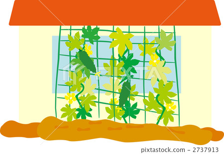 綠色的窗簾 2737913