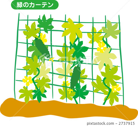 Green Curtain 2737915