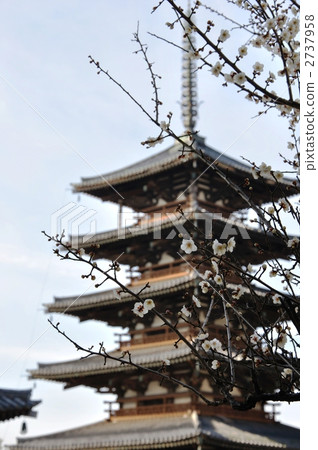 五層寶塔和梅花 2737958