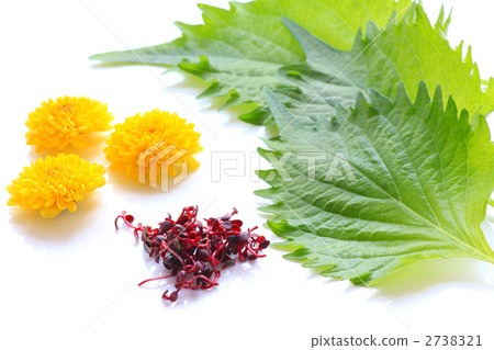 各種千萬 2738321