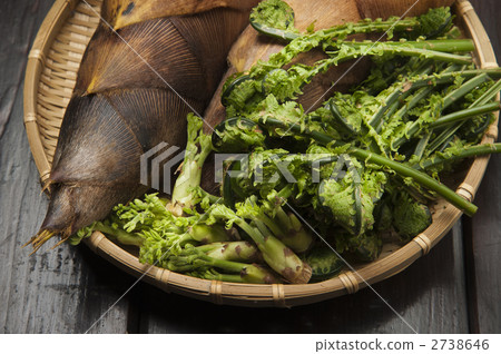 Spring wild plant 2738646
