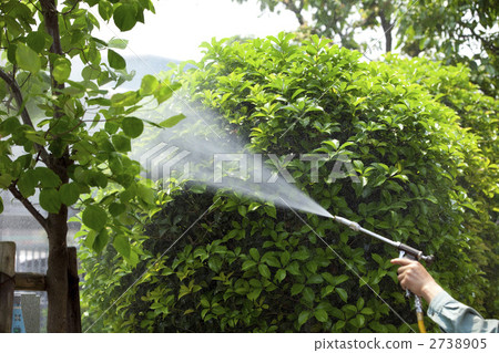 Pest control 2738905