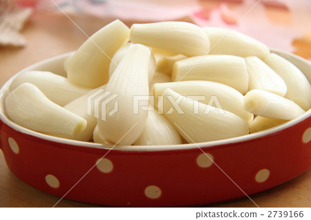 chinese onion, chinese scallion, japanese scallion 2739166