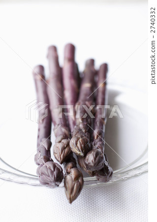 紫蘆筍 2740332