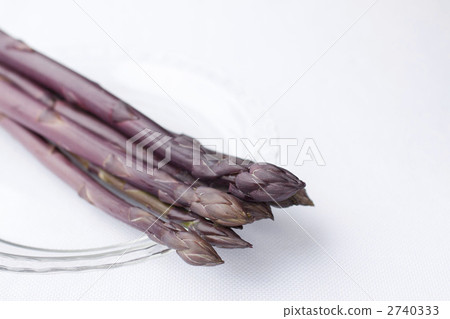 Purple asparagus 2740333