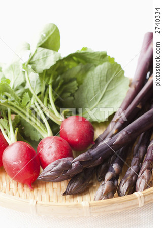 紫色蘆筍和蘿蔔 紫色蘆筍和蘿蔔 2740334