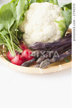 Purple asparagus, radish and cauliflower 2740335