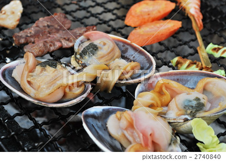 large clam, fish and shellfish, seafood 2740840