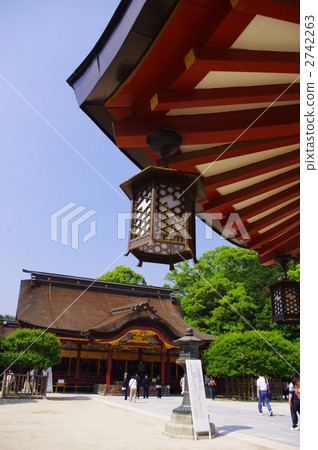 太宰府天滿古古的新鮮綠色 2742263