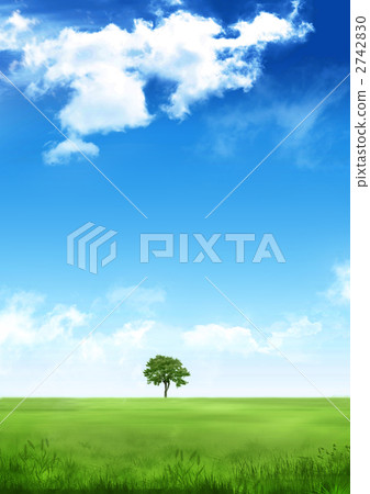 sky, blue sky, grass field 2742830