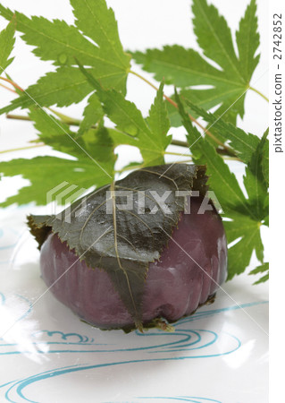 涼圓 豆沙涼圓 蓋著野葛澱粉的豆沙球 2742852