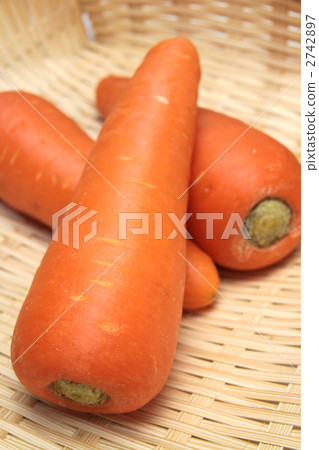 Ginseng vertical position 2742897