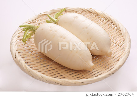 Pungent radish 2762764