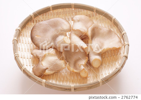 Abalone Mushroom Stock Photo 2762774 Pixta