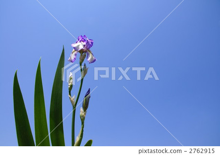 很久以前 2762915